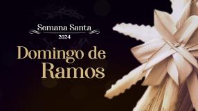 Domingo de Ramos (24/03/2024)