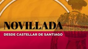 Novillada desde Castellar de Santiago (18/05/2024)
