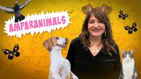 Amparanimals con Amparo de Aguilar y CMMPlay