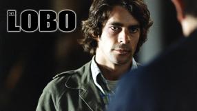 El lobo