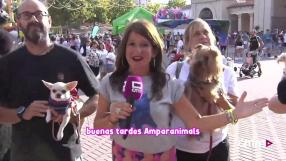 ¡Amparanimals en la Feria de Albacete!