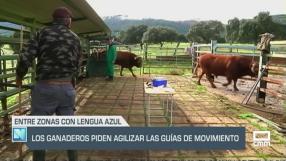 Los ganaderos piden agilizar las guías de movimiento - 28/10/24