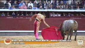 Tiempo de Toros (28/12/2024)