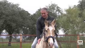Juan Pedro : "aquí tengo mis caballos, que son mi gran pasión"