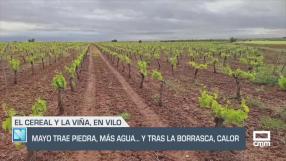 Mayo trae piedra, más agua y, tras la borrasca, calor - 02/05/25