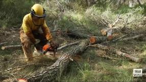 Campaña de prevención de incendios