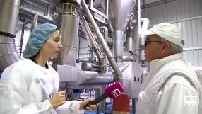 Producen hasta 200 toneladas de harina al día