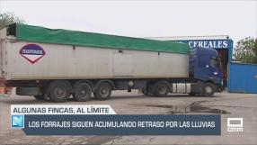 Los forrajes siguen acumulando retrasos por las lluvias - 09/05/25