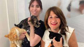 Hazte con todos. En El Arca de Noé hay gatos de todos los colores y están esperando adopción.

Recuerda: adopta, acoge. Es un mensaje de El Arca de Noé y Castilla-La Mancha Media en Amparanimals.