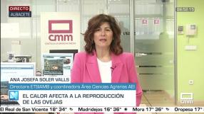 Entrevista a Ana Josefa Soler Valls