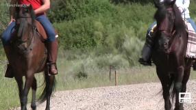 Ruta a caballo por la Dehesa de Castilseras
