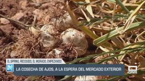El campo - 02/07/2025