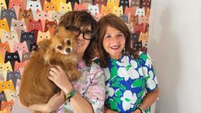 Mascotas y fuegos artificiales: dos formas para solucionar el problema