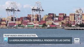 El campo - 07/07/2025