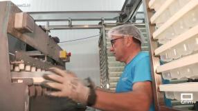 El hielo, uno de los productos más demandados en verano