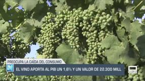 El campo - 11/07/2025