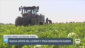 El campo - 18/07/2025