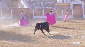 Toros desde Pozuelo de Calatrava (19/07/2025)