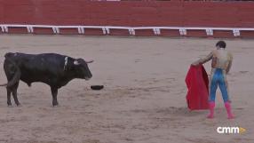 Novillada sin picadores desde Toledo (15/08/2025)
