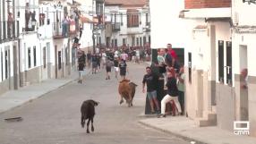Vaquillas, limoná y tostones en una jornada de feria de Orgaz