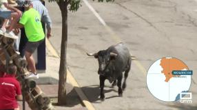 Último encierro de las fiestas de Molinicos