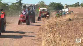 Desfile de tractores en Daimiel