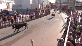 Encierros taurinos en Mocejón
