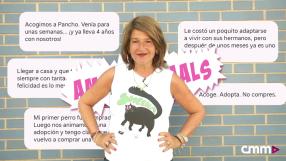 Cuenta tu historia en Amparanimals