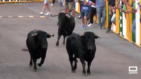 Broche de oro con el octavo encierro de Villaseca de la Sagra