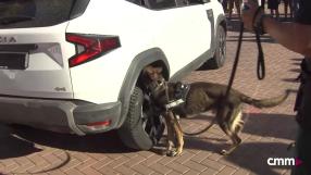 ¿Cómo detectan los perros la presencia de drogas y veneno?