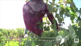El impacto del calor en la campaña de vendimia