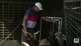 Los migrantes, parte de la solución de la falta de mano de obra en algunos sectores
