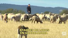La noche en titulares - 06/10/25