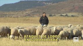 Castilla-La Mancha a las 8 - 06/10/2025