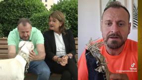 Un galgo y cuatro gatos para Marce González