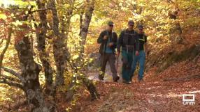 Visitamos el Hayedo de Tejera Negra de Cantalojas