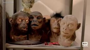 Oxum Fx , una empresa dedicada a la creación de maquillaje de efectos especiales