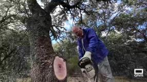 Los vecinos de Pelahustán se preparan para el invierno recogiendo leña