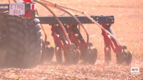 Comienza la siembra de cebada en Pozo de Guadalajara