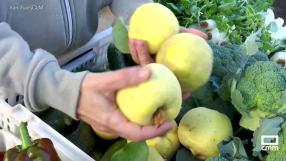 Hacemos membrillo con los vecinos de Los Navalmorales