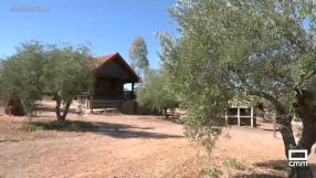 Una escapada perfecta en Las Cabañas del Pantano de Gasset, en Fernán Caballero