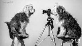 Cuando la cámara captura más que imágenes