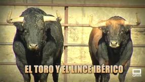 Tiempo de toros (19/11/2025)