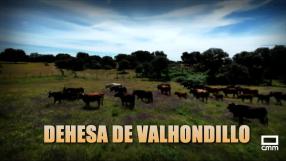 Tiempo de toros (03/01/2026)