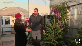 El abeto natural perfecto para esta Navidad está en el vivero Los Cigarrales