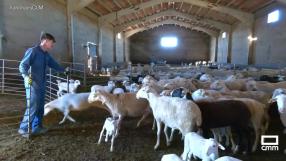 Después de su experiencia en Australia, Miguel vuelve a Tortuera