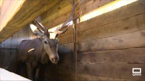 Nuevo proyecto de investigación en el parque de El Hosquillo