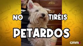 Mensaje de Año Nuevo de Amparanimals: el petardo eres tú