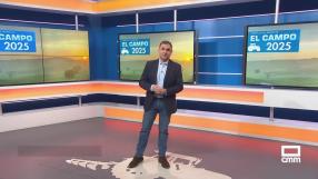 El campo - 31/12/2025