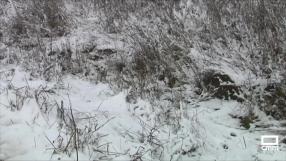 El día en Titulares. 04/02/2026